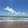 lauraardines61
